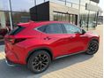 LEXUS NX 2024/11 - 2