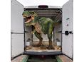 FIAT DUCATO 2015/7 - 12