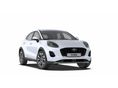 FORD PUMA 2026 - 1