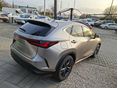 LEXUS NX 2025 - 4