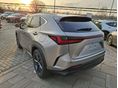 LEXUS NX 2025 - 5