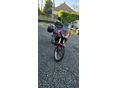 APRILIA PEGASO 650 1999/5 - 3