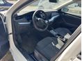 SKODA OCTAVIA 2024/5 - 8
