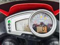 TRIUMPH TIGER 1050 ABS 2009/4 - 10