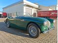 AUSTIN-HEALEY 100 1954/7 - 3