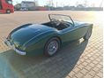AUSTIN-HEALEY 100 1954/7 - 5