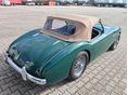 AUSTIN-HEALEY 100 1954/7 - 14