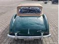 AUSTIN-HEALEY 100 1954/7 - 15