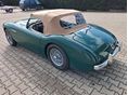 AUSTIN-HEALEY 100 1954/7 - 16