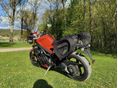 TRIUMPH SPEED TRIPLE 1050 2006/5 - 2