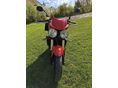 TRIUMPH SPEED TRIPLE 1050 2006/5 - 5