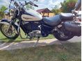 HONDA VT 1100 C2 1995/6 - 2