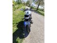 HONDA CB 600 F (HORNET) 2008/5 - 3