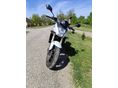 HONDA CB 600 F (HORNET) 2008/5 - 4