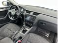 SKODA OCTAVIA 2019/1 - 12