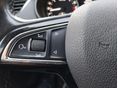 SKODA OCTAVIA 2018/1 - 13