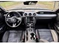 FORD MUSTANG 2023/11 - 9