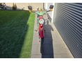SIMSON STAR 1967/6 - 6