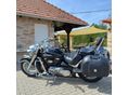 SUZUKI VL 800 (INTRUDER) 