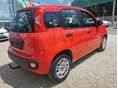 FIAT PANDA 2017/4 - 3