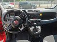 FIAT PANDA 2017/4 - 5
