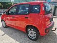 FIAT PANDA 2017/4 - 7