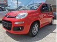 FIAT PANDA 2017/4 - 11