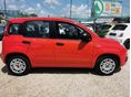 FIAT PANDA 2017/4 - 12