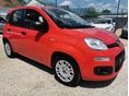FIAT PANDA 2017/4 - 1