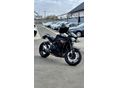 TRIUMPH SPEED TRIPLE 1050 2018/3 - 2