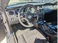 FORD MUSTANG 2014/8 - 8