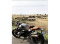 BMW R NINET Srambler