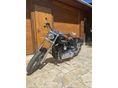 HARLEY-DAVIDSON DYNA 2010 - 2