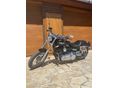 HARLEY-DAVIDSON DYNA 2010 - 3