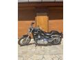 HARLEY-DAVIDSON DYNA 2010 - 5