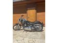 HARLEY-DAVIDSON DYNA 2010 - 6