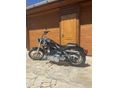 HARLEY-DAVIDSON DYNA 2010 - 7