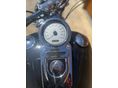 HARLEY-DAVIDSON DYNA 2010 - 13