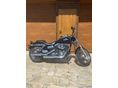 HARLEY-DAVIDSON DYNA 2010 - 18