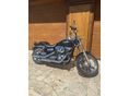 HARLEY-DAVIDSON DYNA 2010 - 19