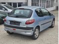 PEUGEOT 206 2001/10 - 6