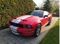 FORD MUSTANG 2005/3 - 3