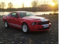 FORD MUSTANG 2005/3 - 4