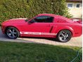 FORD MUSTANG 2005/3 - 5