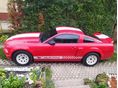 FORD MUSTANG 2005/3 - 10