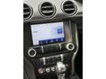 FORD MUSTANG 2022/6 - 12