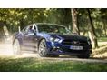 FORD MUSTANG Fastback 5.0 Ti-VCT V8 GT (Automata) 2015 Ford Mustang 50th Anniversary Edition