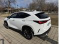 LEXUS NX 2022/5 - 2