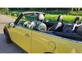 MINI CABRIO 2010/8 - 2