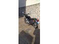 HONDA CB 1100 2015/11 - 6